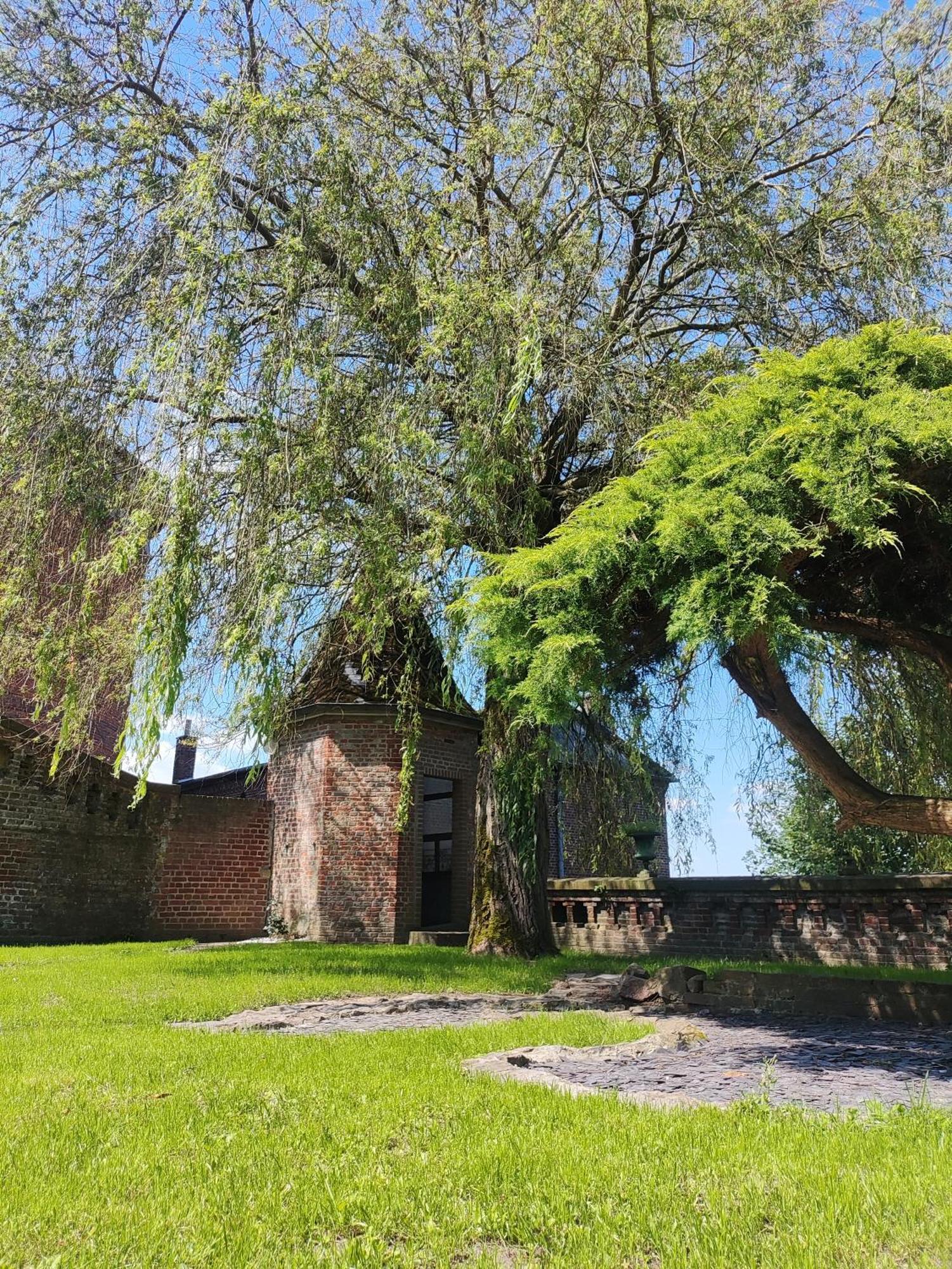 Le Relais Napoleon Bed & Breakfast Avesnes-sur-Helpe Exterior foto