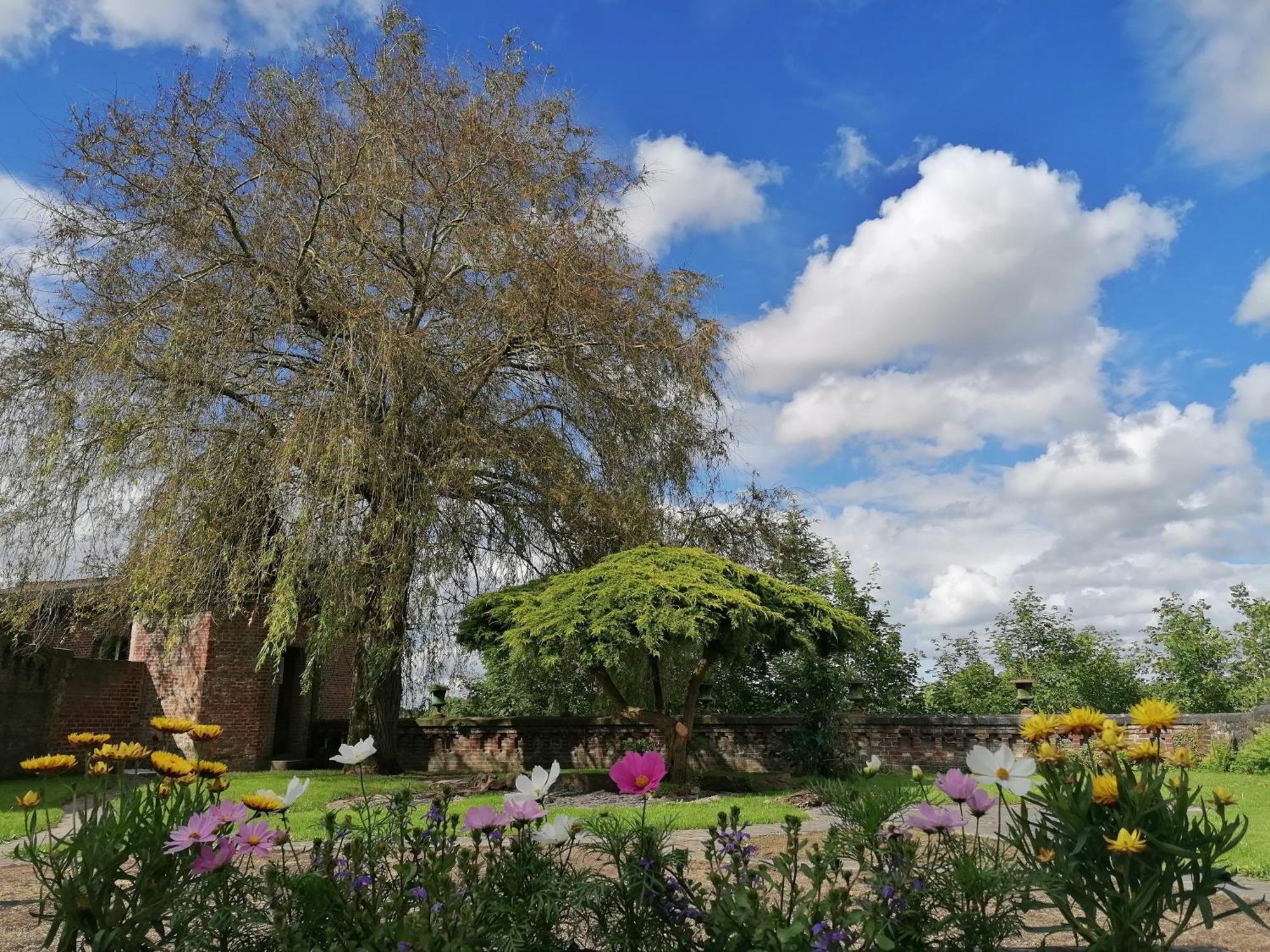 Le Relais Napoleon Bed & Breakfast Avesnes-sur-Helpe Exterior foto