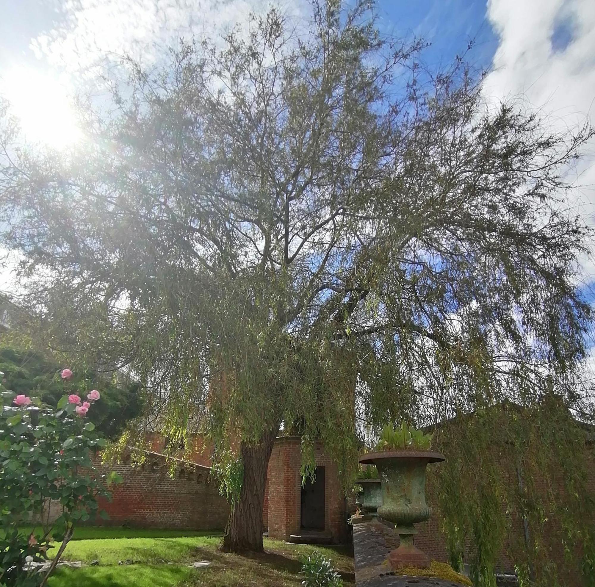 Le Relais Napoleon Bed & Breakfast Avesnes-sur-Helpe Exterior foto